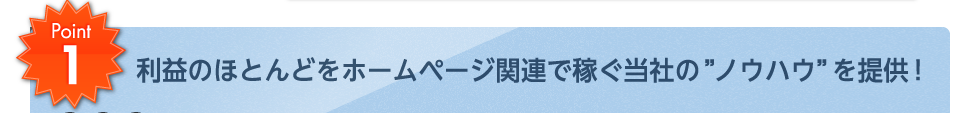 利益のほとんどをホームページ関連で稼ぐ当社の”ノウハウ”を提供！