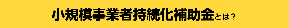 小規模事業者持続化補助金とは？