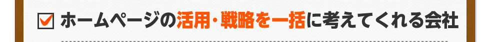 ホームページの活用・戦略を一括に考えてくれる会社